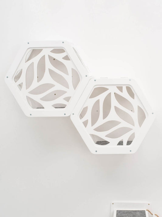Wooden and Acrylic Frame for Hexagon