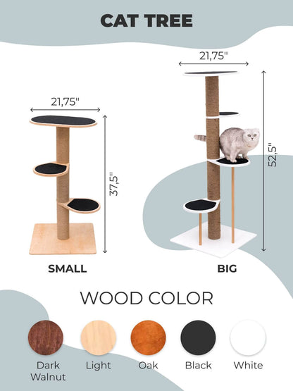 Cat Climbing Tower